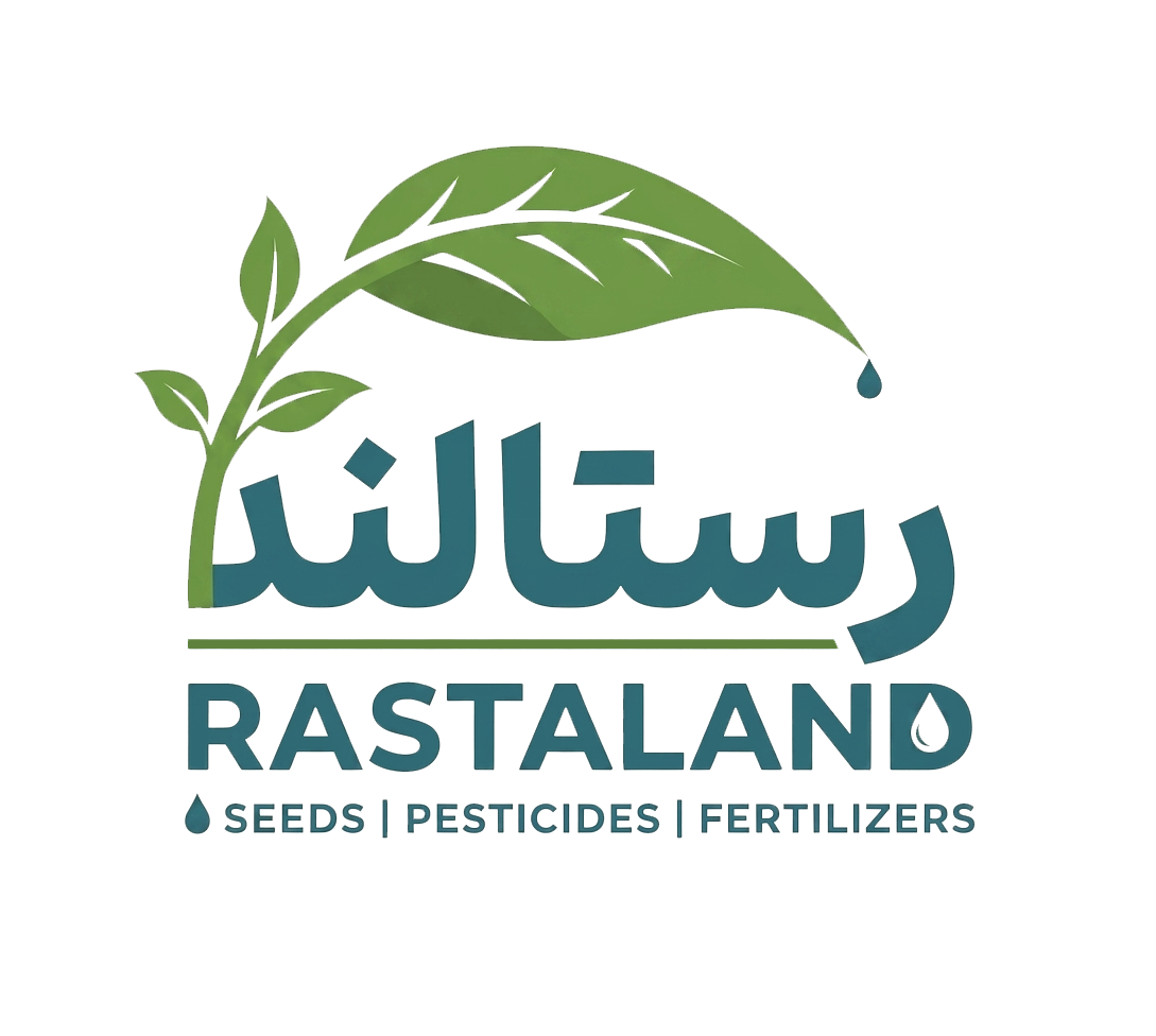 رستا لند